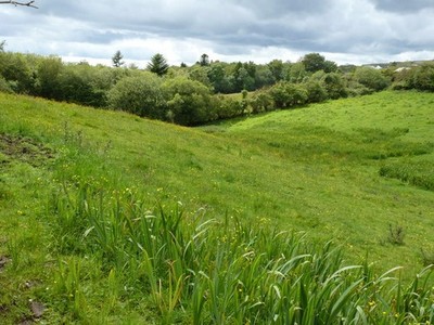 Photo A2 Valley with iris near Mountcharles Moin Searlas Looking verdant c2011