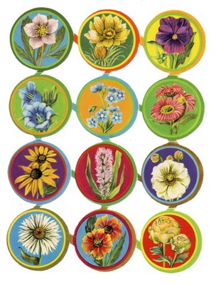 Old family book pictures glossy pictures sheet 1275 flowers... GDR rare!!
