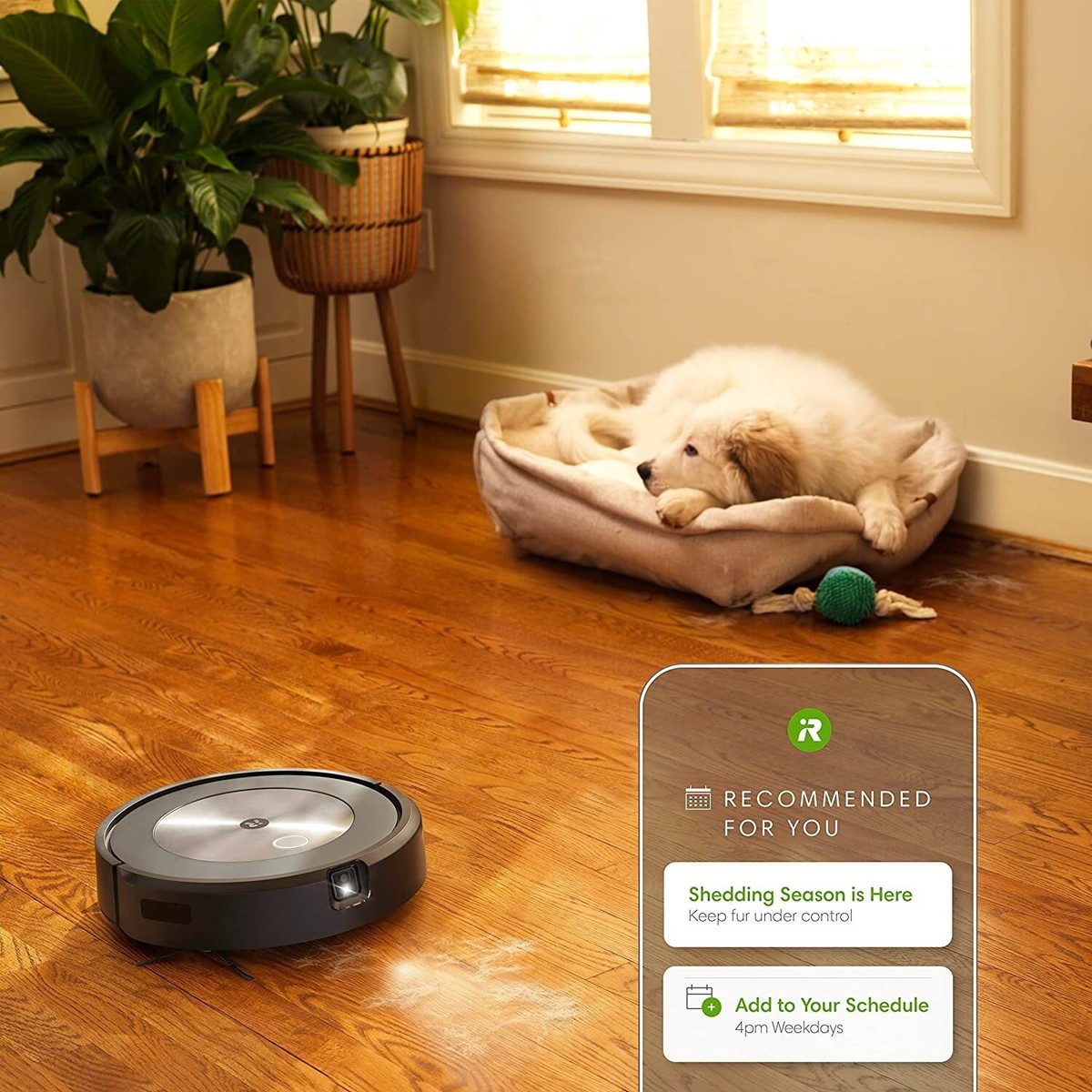 iRobot Roomba j7+ Self-Emptying Vacuum Cleaning Robot - Certified
