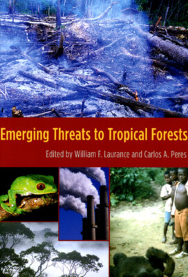 Emerging Threats To Tropical Forests