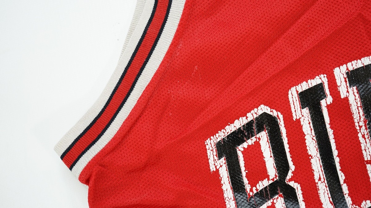 Rare Vintage CHAMPION Scottie Pippen Chicago Bulls NBA Rare Vintage CHAMPION Scottie Pippen Chicago Bulls NBA