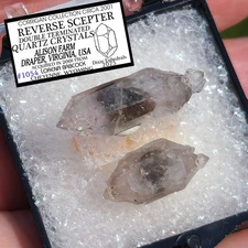 2 REVERSE SCEPTER  QUARTZ CRYSTALS alison farm DRAPER VIRGINIA PERKY box