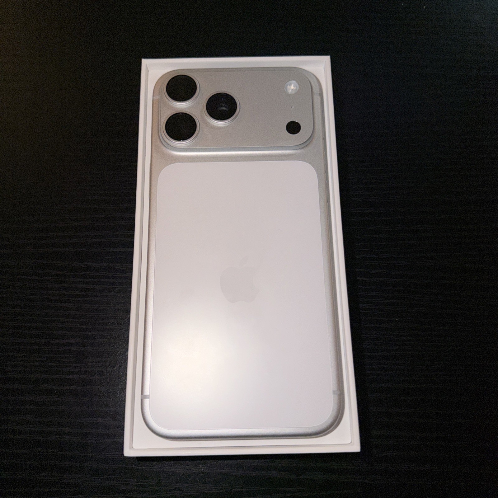 Apple iPhone 17 Pro Max - 256 GB - Silver (Unlocked)