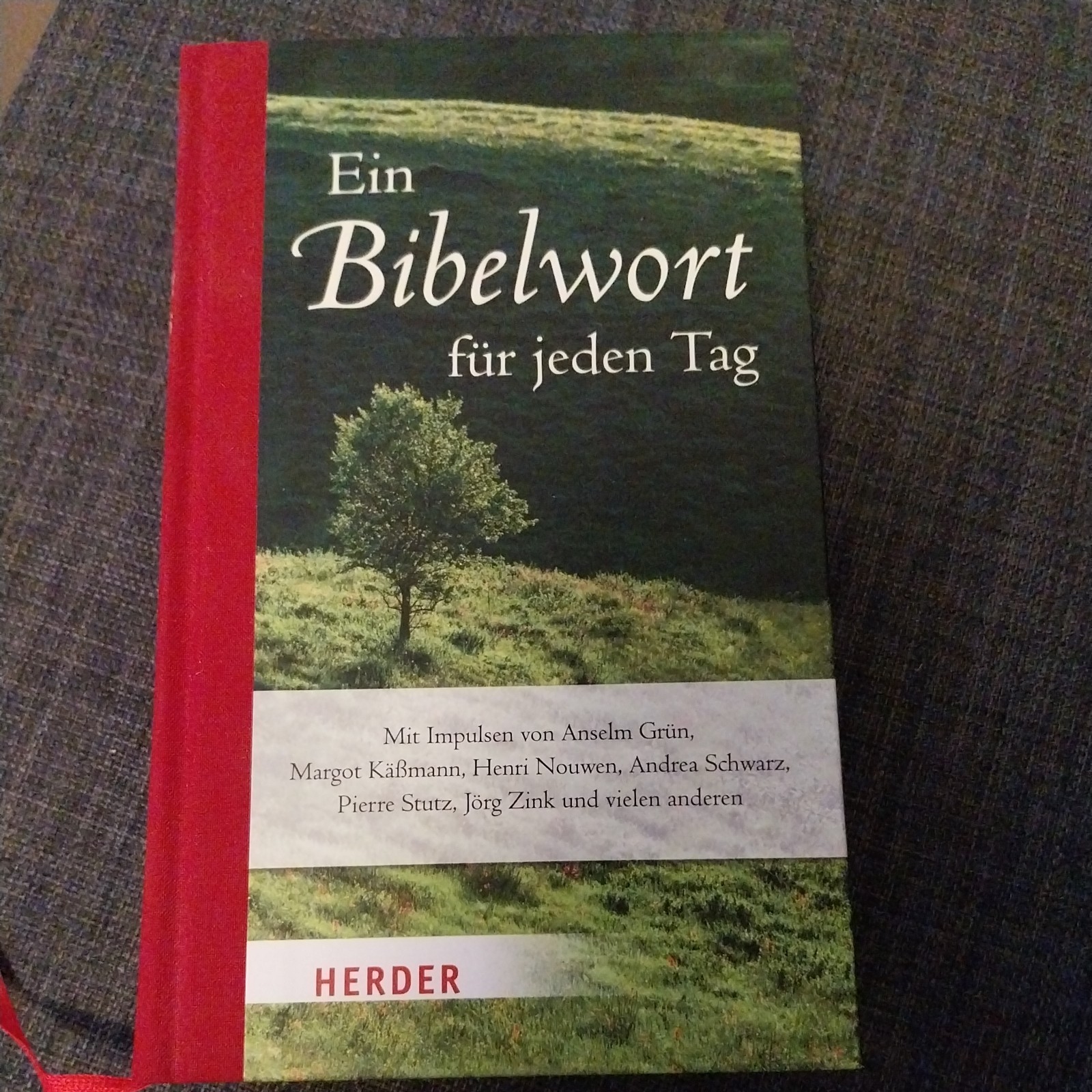 Ein Bibelwort für jeden Tag: Mit Impulsen von Anselm Grü... | Buch | Zustand gut
