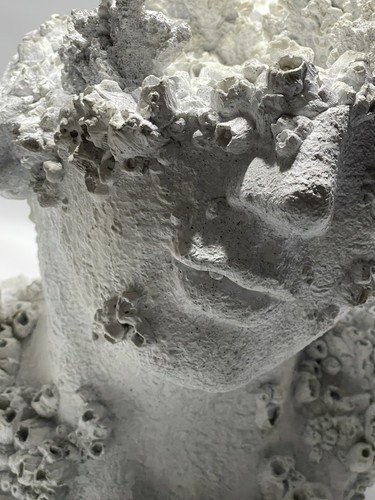 Art Deco Barnacle Half Face Human Sculpture Unique Rare Find 12"x11"x12" - Picture 3 of 11