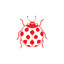 Ladybug's Secondhand Rose Boutique