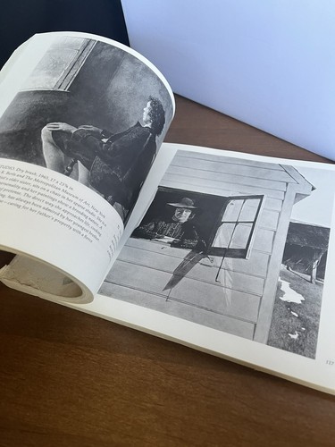 BOOK: ANDREW WYETH 1970 Paperback Boston Museum - Picture 8 of 11