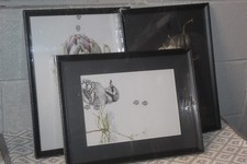 3 x Ikea Knoppang Picture Frames Size 40 x 30 cm  NEW