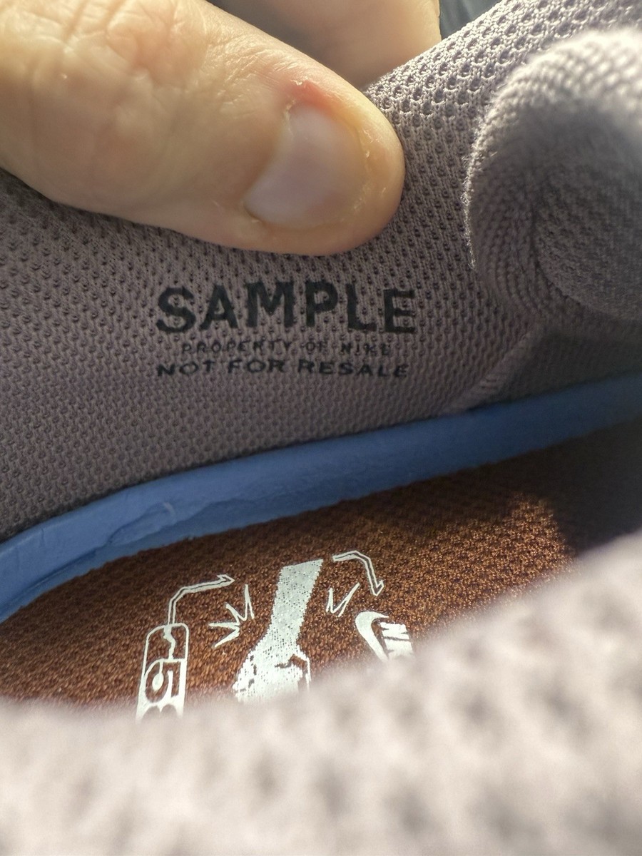 Size 9 Nike SB Malor Te Friends And Family Sample | eBay display picture 2