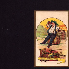 LILLE (59) IMAGE CHROMO CHICOREE BELLE JARDINIERE BERIOT / Pause en VENDANGE