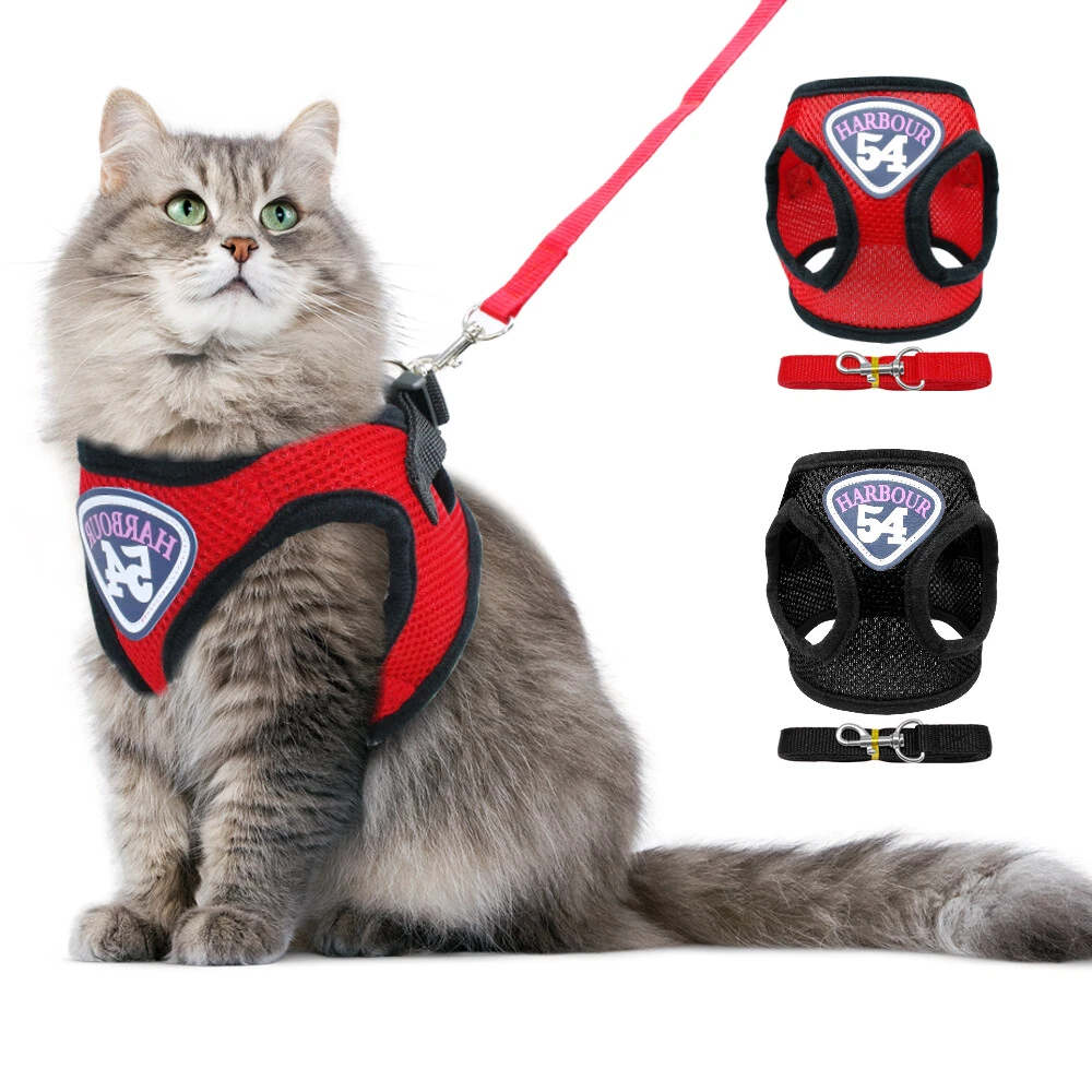 Cat vest best sale harness and leash