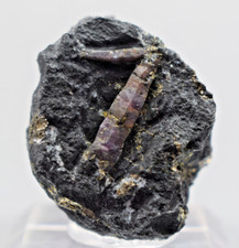 RUBY(UV)Pyrite from Amstall Graphit Mine, Krems,Niederoesterreich ,Austria 53,9g