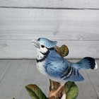 Bild 14 von 21