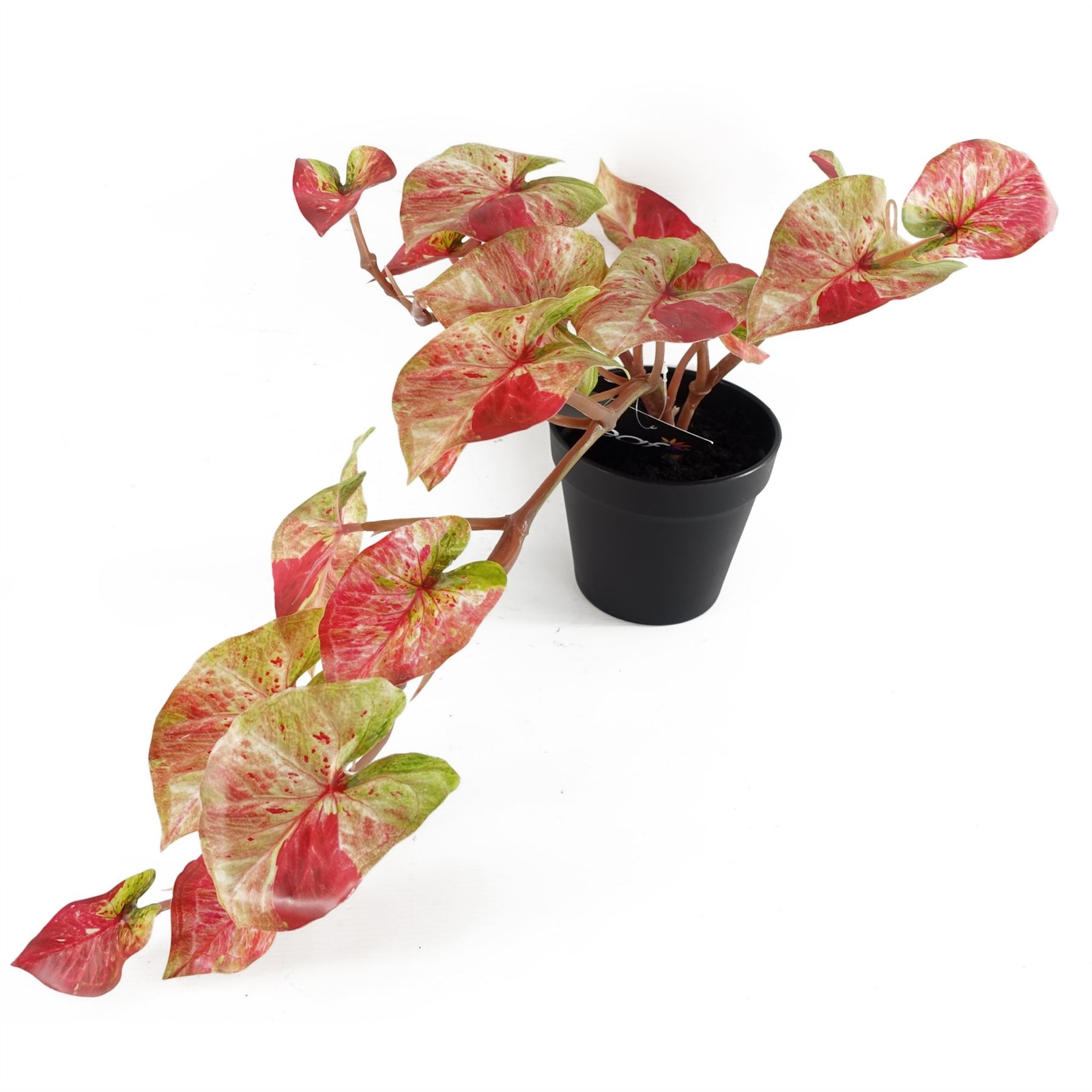 Artificial Hanging Trailing Plant Plant Pink Splash Caladium