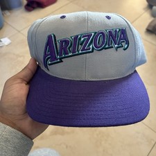 Vintage Arizona Diamondbacks Grey Mens Snapback 90s Y2K American Needle Classic