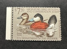 WTDstamps - #RW48 1981 - US Federal Duck Stamp - Mint OG NH