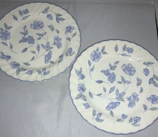 SET OF TWO 8” BARRATTS BLUE FLOWER PLATES