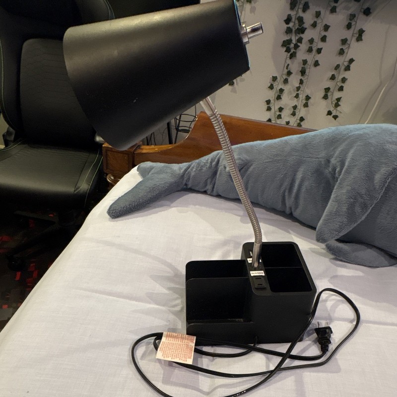 Black Adjustable Gooseneck Desk Lamp w/ Organizer Base, 2 AC Outlets, USB