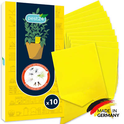 pest24 - Gelbsticker Trauermcken bekmpfen Zimmerpflanzen 10x  8720618107336 | eBay.de