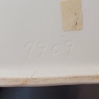 Picture 8 of 12