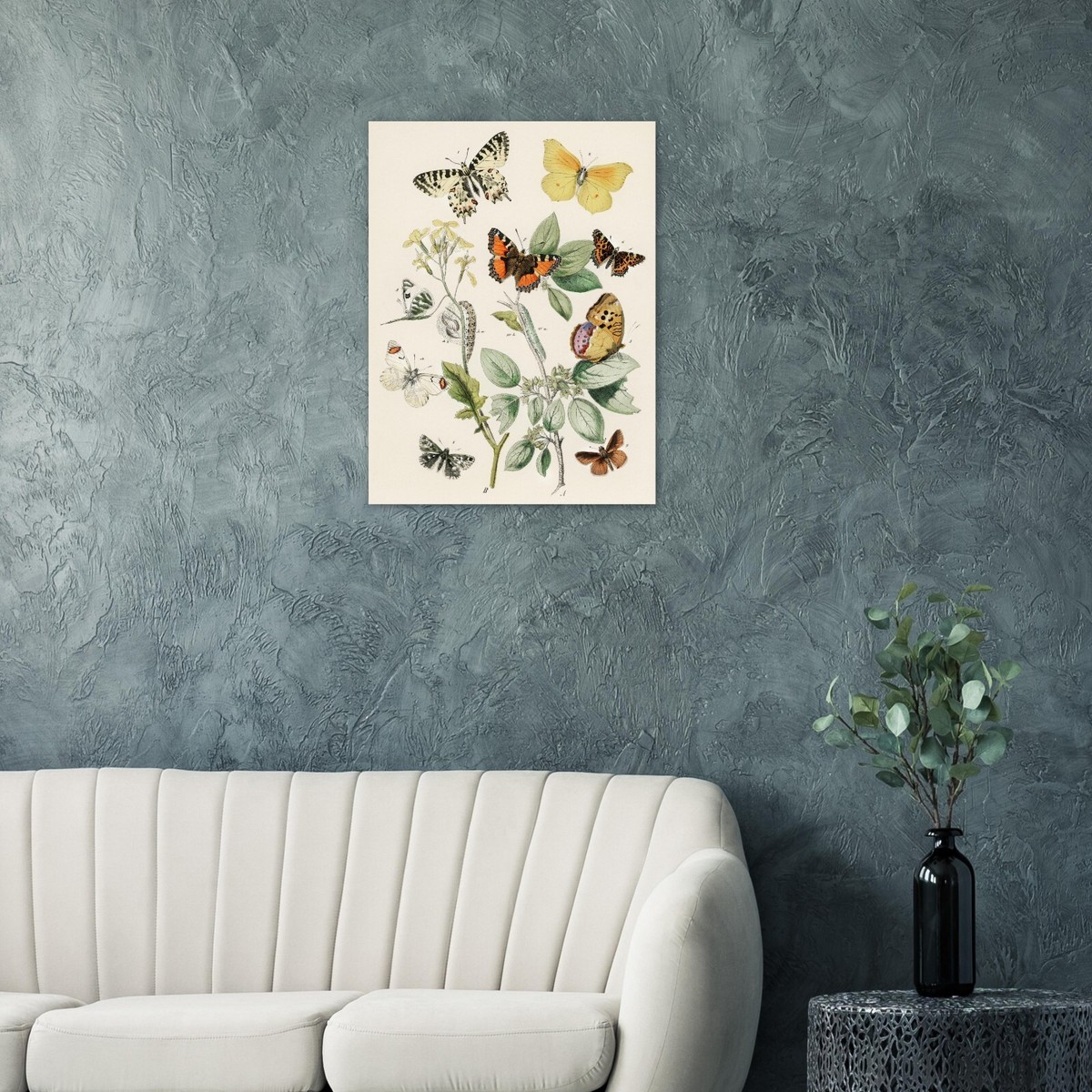 Vintage Butterfly Illustration, Framed/Unframed/Digital Poster