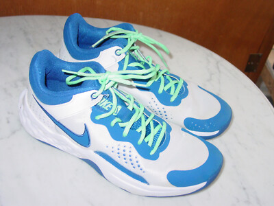 2022 Mens Nike Fly by Mid 3 White/Game Royal/Green Glow 