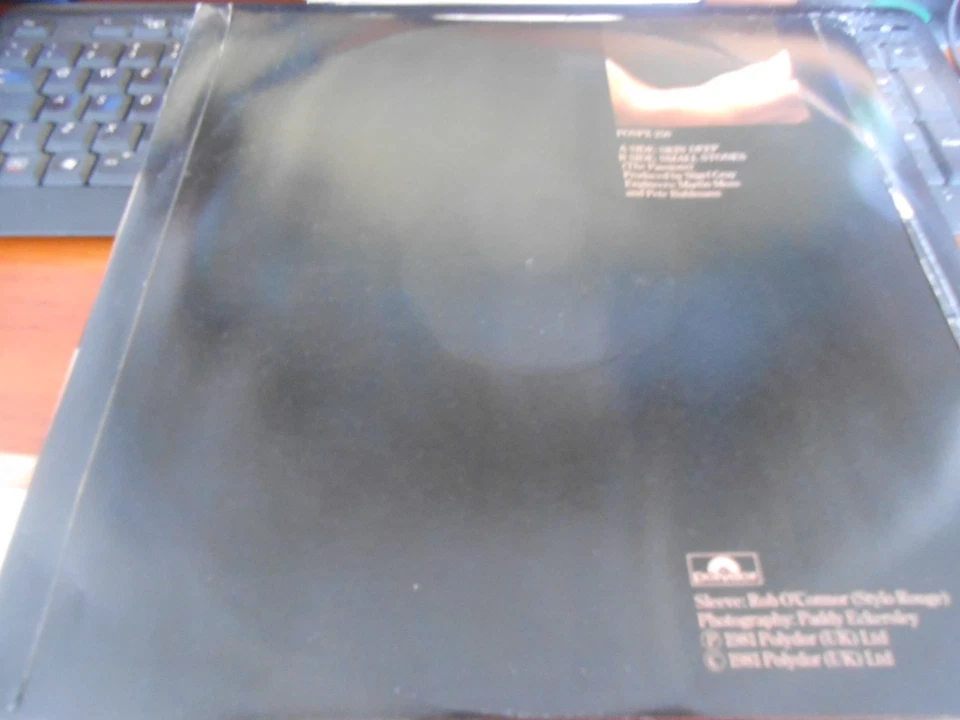 The Passions - "Skin Deep / Small Stones" - POLYDOR 12" Single - Image 4 of 4