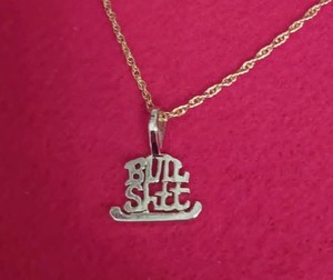 Authentic 14KT GOLD PLATED BULL S__T CHARM PENDANT WITH 18" ROPE CHAIN NECKLACE - 507