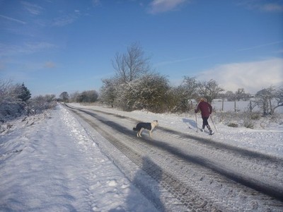 Photo A2 The council ruined our loipe ! Boldron When we first found that c2010