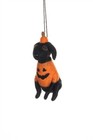 Halloween Decoration Shoeless Joe Felt Dog Pumpkin Outfit Rustic Hanging Twine
