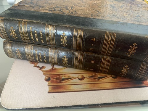 π΄ libri volumi I PALLESCHI E PIAGNONI De Lapi D'Azeglio Firenze antichi 1841 - Picture 2 of 11
