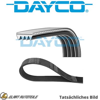 THE WEDGE RIB STRAPS FOR TOYOTA YARIS P1 1SZ FE ECHO P1 YARIS VITZ P1 DAYCO