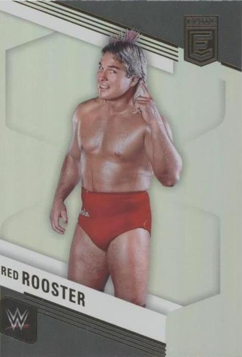 2023 Panini Donruss Elite WWE - Terry Taylor #132 - 1 of 1