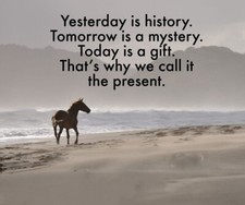 Inspirational    horse quote refrigerator magnet  3 1/2"x 3 1/2" Made in the USA