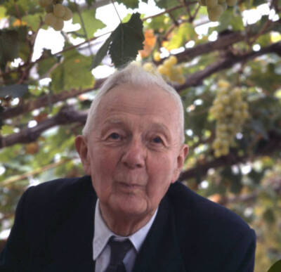 English horticulturalist broadcaster Fred Streeter in a glasshouse - Old Photo