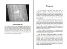 Picture 10 of 14