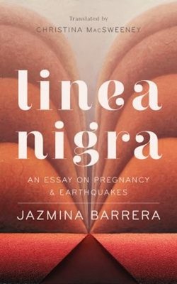 Linea Nigra : An Essay on Pregnancy and Earthquakes Hardcover Jaz