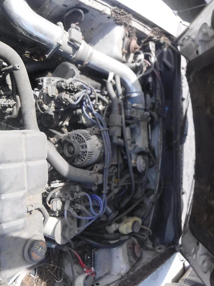 Air Cleaner 8-280 4.6L Fits 96-98 MUSTANG 30186042 — 第 3/4 张图片