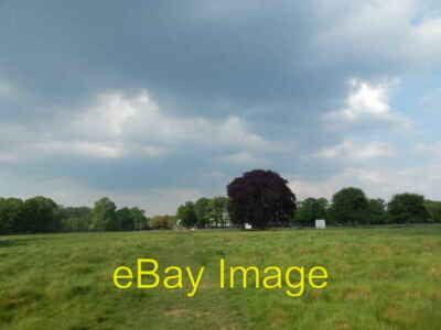 Photo 6x4 Towards the cricket ground Teddington In Bushy Park. c2018