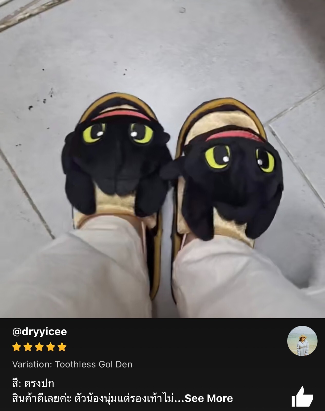 PANTOFOLA D’ORO AUTENTICHE scarpe peluche How to Train Your Dragon SENZA DENTI US 6 10 UK 4 8