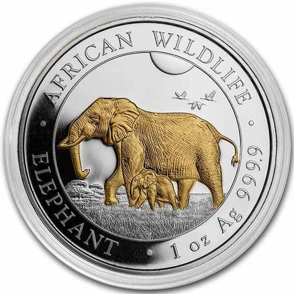 OFFICIAL SOMALIA SILVER ELEPHANT GILDED 2022 1 oz Pure Silver Coin in Capsule Antique Coins