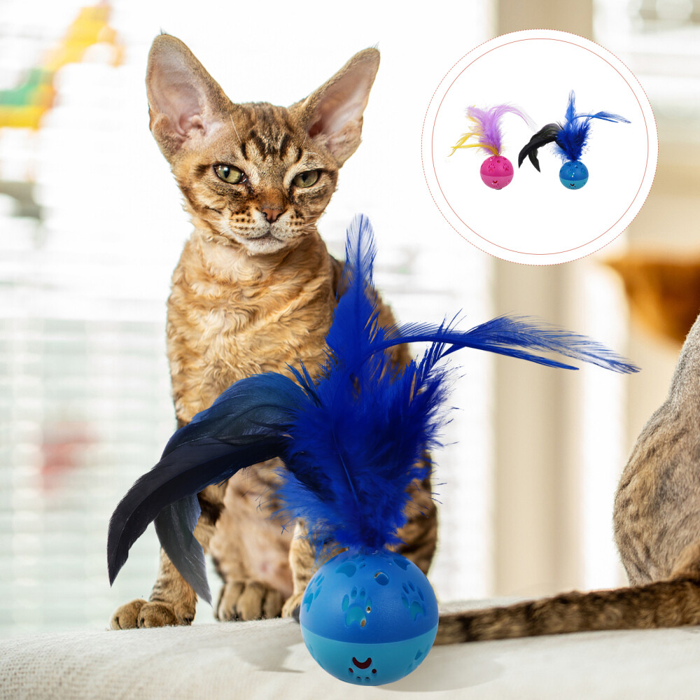 Cat Chewing Toys Purring Cat Toy Catnip Toys Noisy Cat Toys Cat Toy