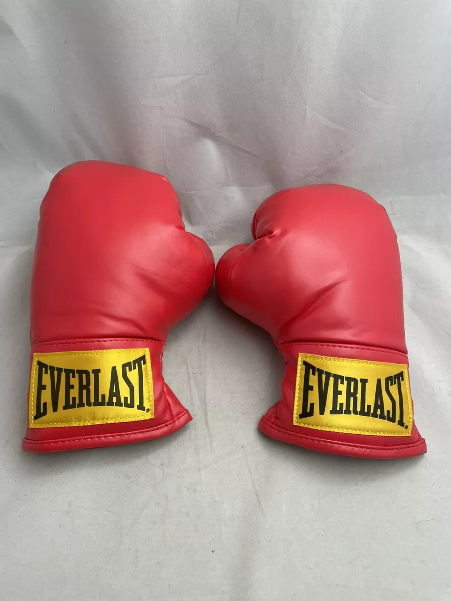 Kids everlast sales boxing gloves