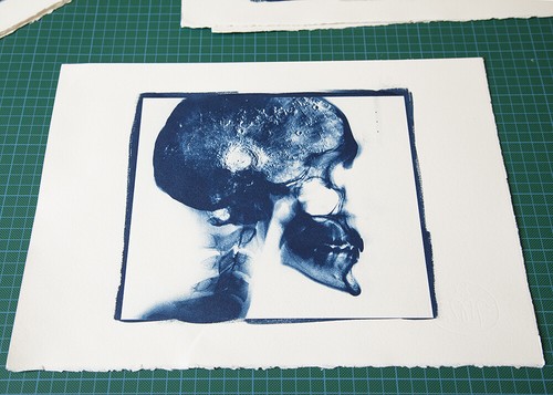 CYANOTYPE PRINT (ORIGINAL, SIGNED) - PRINT DIMENSION 380x280 mm c.a. - Foto 4 di 4
