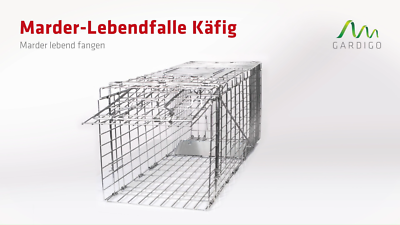 leine mit halsband Leine & Halsband Emma  10% Rabatt auf das Gassi-Set  Rudelknig