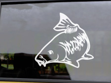 MIRROR CARP  Vinyl Fishing Car Decal / Sticker -108