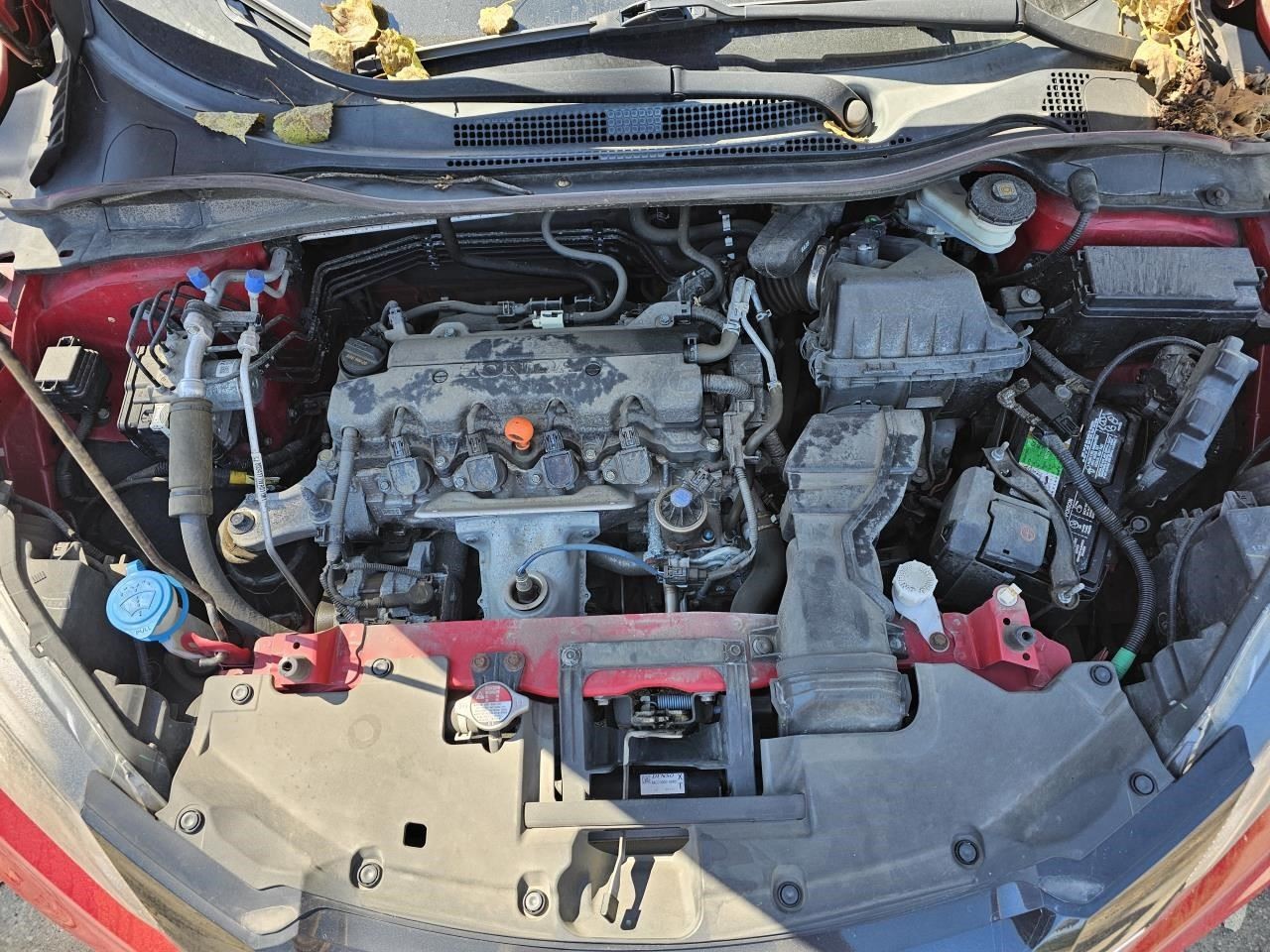Picture 4