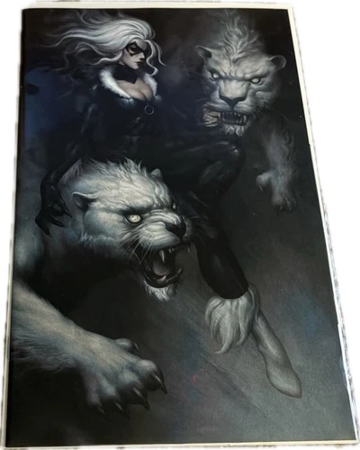 2024 Amazing Spiderman #45 Kendrick Kunkka Virgin Variant Exclusive Black Cat