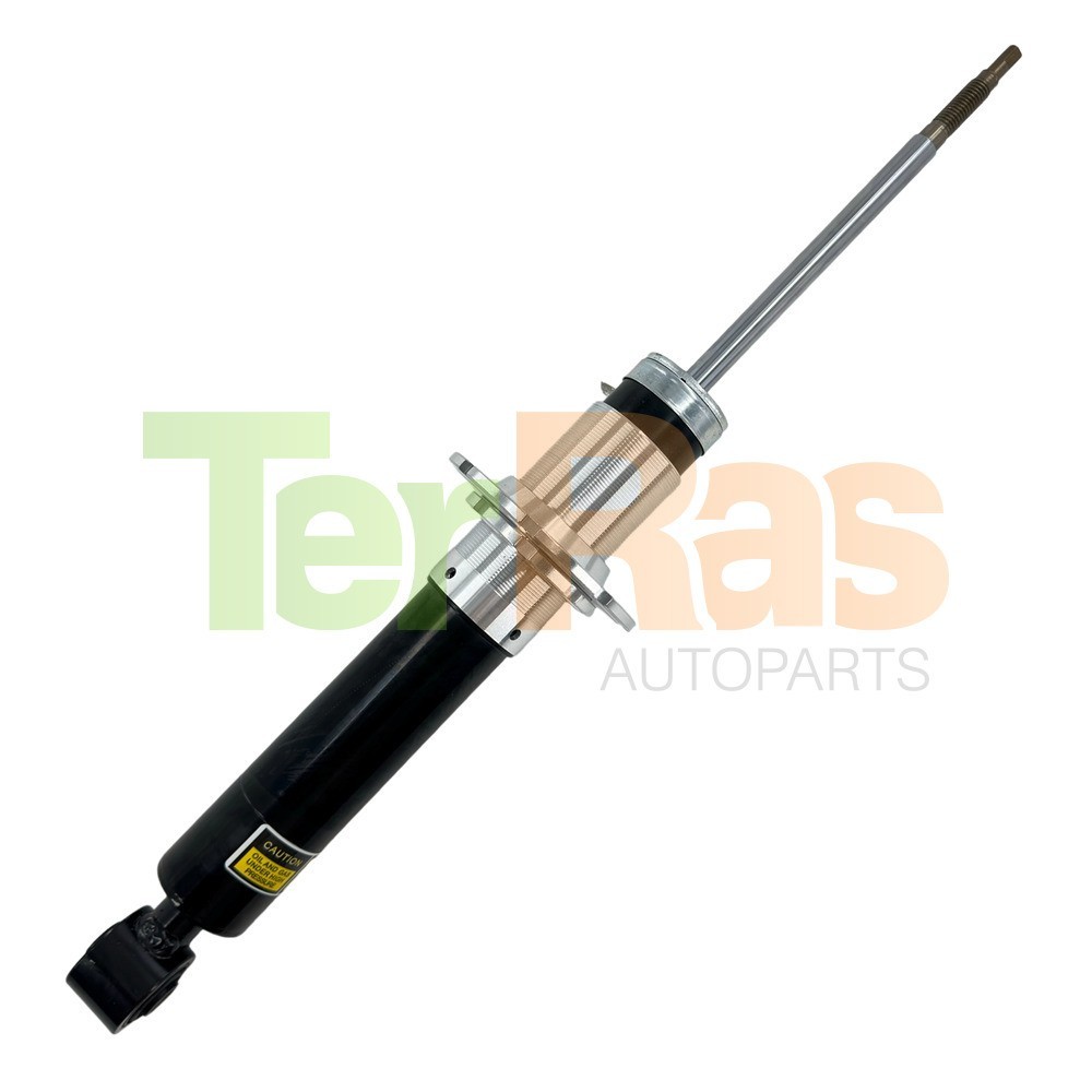 Ferrari California 2008-2014 Rear Right Dampers 2 pcs P/N 247210