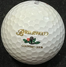 Brierwood Country Club Logo Golf Ball Hamburg, NY -- now Cloverbank